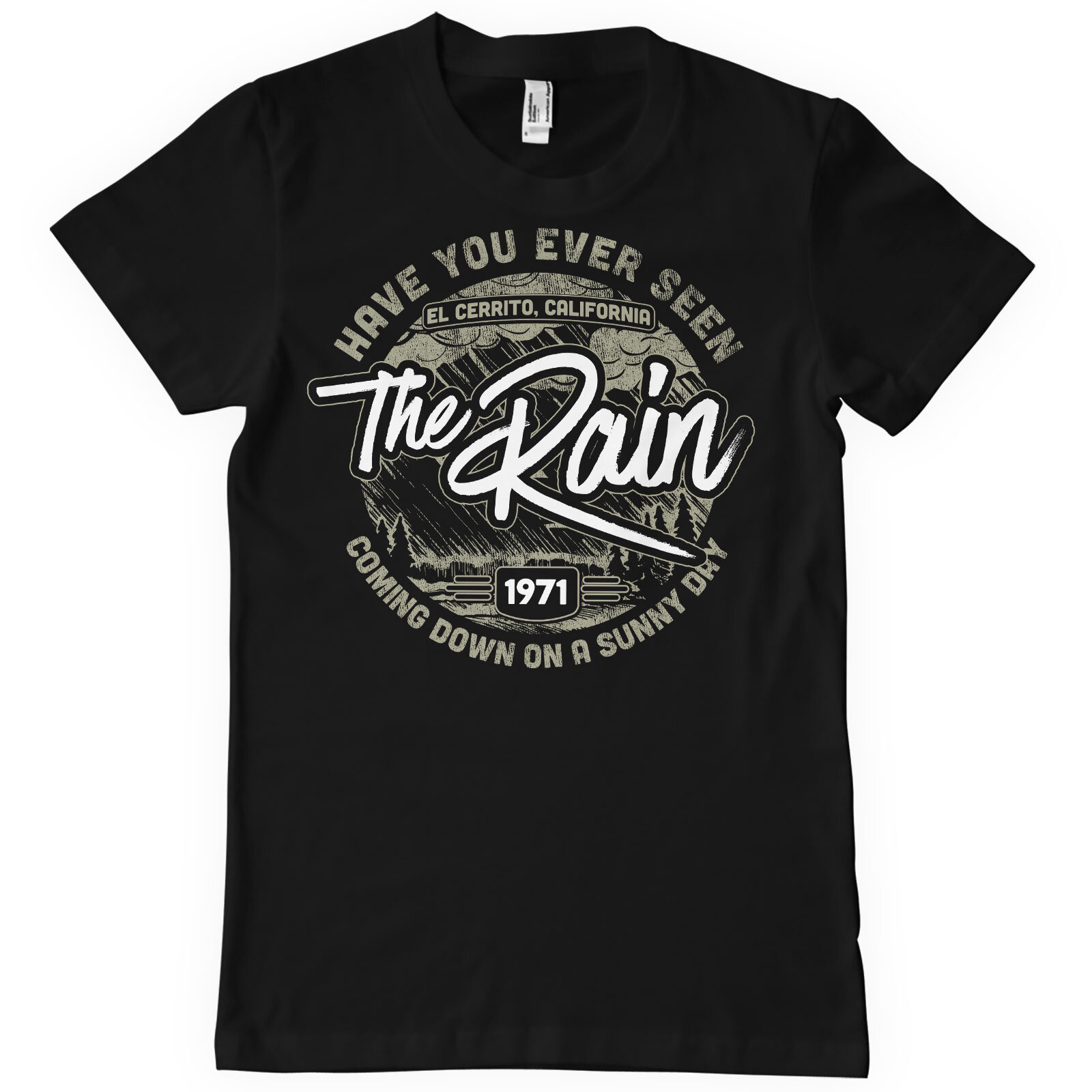 Have You Ever Seen The Rain T-Shirt